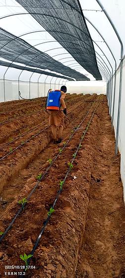 Treating the beds